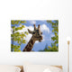 giraffe Wall Mural