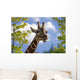 giraffe Wall Mural