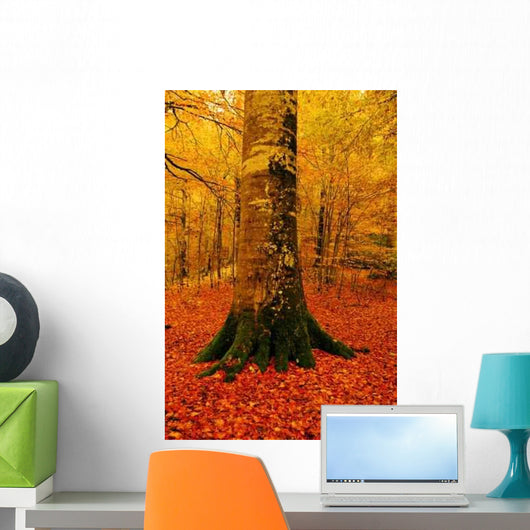 Autumn Wall Decal Design 2
