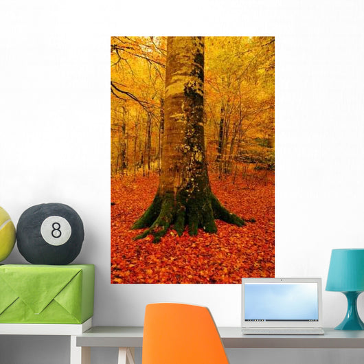 Autumn Wall Decal Design 2