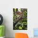 Two Monkeys In A Tree Wall Mural