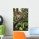 Two Monkeys In A Tree Wall Mural