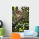 Two Monkeys In A Tree Wall Mural