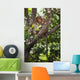 Two Monkeys In A Tree Wall Mural