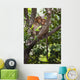 Two Monkeys In A Tree Wall Mural