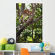 Two Monkeys In A Tree Wall Mural