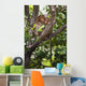 Two Monkeys In A Tree Wall Mural