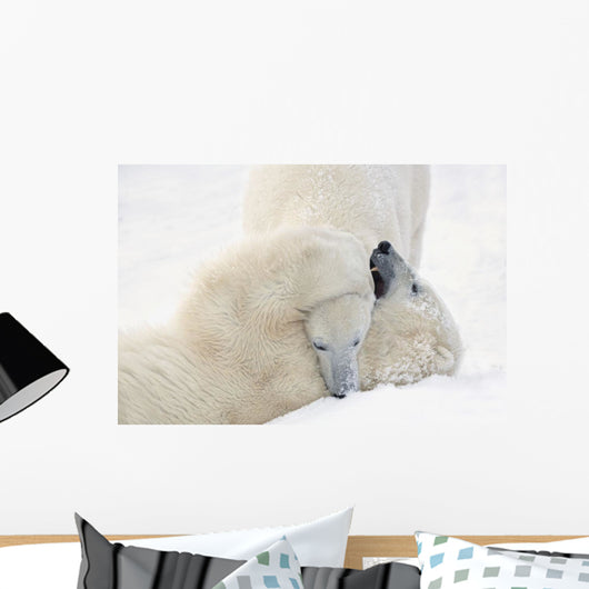 Two Polar Bears Play At Hudson Bay Wall Mural