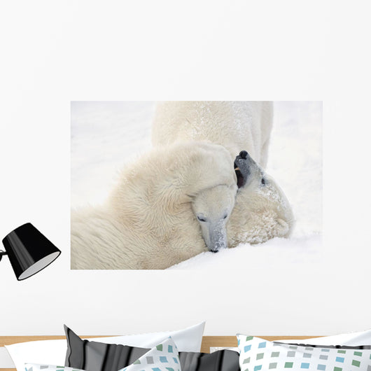 Two Polar Bears Play At Hudson Bay Wall Mural