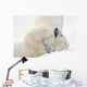 Two Polar Bears Play At Hudson Bay Wall Mural