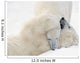 Two Polar Bears Play At Hudson Bay Wall Mural