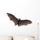 Flying Vampire Bat Wall Decal
