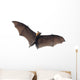 Flying Vampire Bat Wall Decal