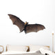 Flying Vampire Bat Wall Decal