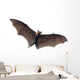 Flying Vampire Bat Wall Decal