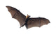 Flying Vampire Bat Wall Decal