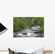 Cascading Falls Along A Creek Wall Mural