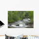 Cascading Falls Along A Creek Wall Mural