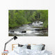 Cascading Falls Along A Creek Wall Mural