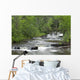 Cascading Falls Along A Creek Wall Mural