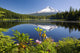 Reflection Of Mount Hood In Trillium Lake In The Oregon Cascades Wall Mural