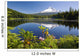 Reflection Of Mount Hood In Trillium Lake In The Oregon Cascades Wall Mural
