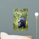 A Black Bear Wall Mural