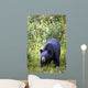 A Black Bear Wall Mural