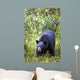 A Black Bear Wall Mural