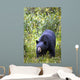 A Black Bear Wall Mural