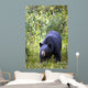 A Black Bear Wall Mural