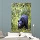 A Black Bear Wall Mural