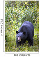 A Black Bear Wall Mural