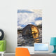 Beaver Swimming Wall Mural