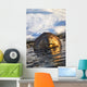 Beaver Swimming Wall Mural