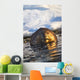 Beaver Swimming Wall Mural
