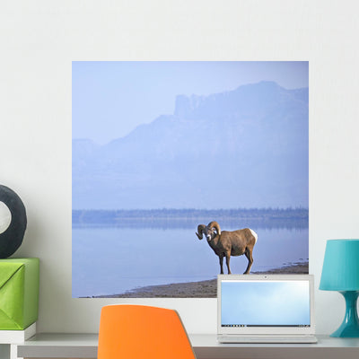 Bighorn Sheep Water's Edge Wall Mural shown on a wall