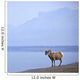 Bighorn Sheep On Water's Edge In Banff National Park Wall Mural