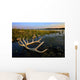 An Elk's Horns Lay Wall Mural