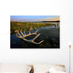 An Elk's Horns Lay Wall Mural