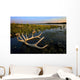 An Elk's Horns Lay Wall Mural