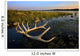 An Elk's Horns Lay Wall Mural