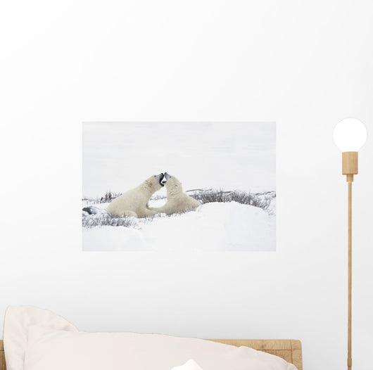 Two Polar Bears Wall Mural