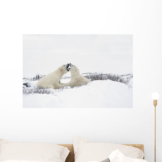Two Polar Bears Wall Mural