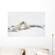 Two Polar Bears Wall Mural