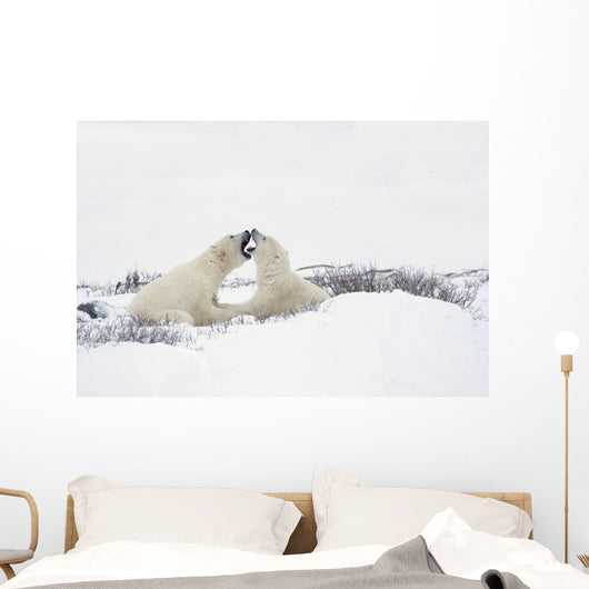 Two Polar Bears Wall Mural