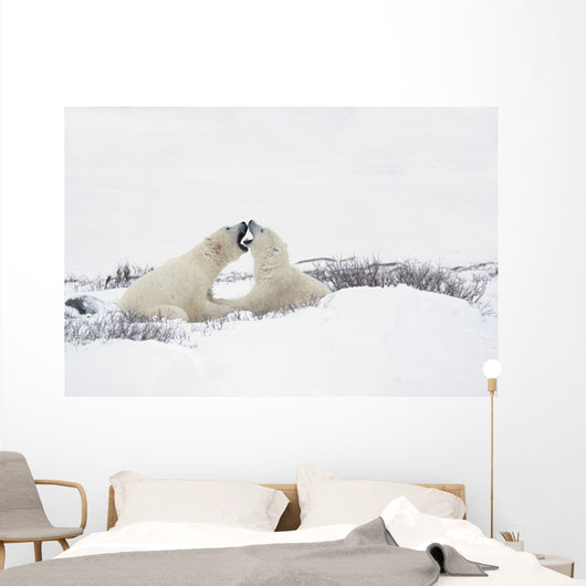 Two Polar Bears Wall Mural