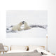Two Polar Bears Wall Mural