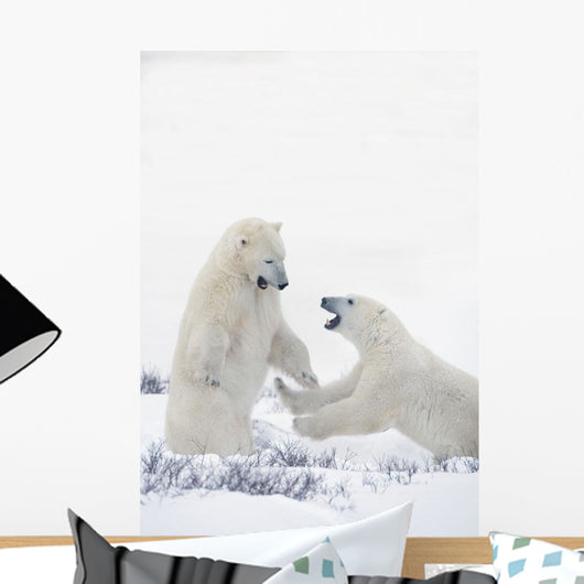Two Polar Bears Play At Hudson Bay Wall Mural