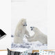 Two Polar Bears Play At Hudson Bay Wall Mural
